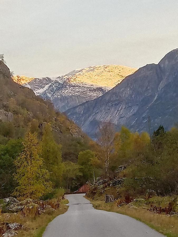 Mallabu Eidfjord Exterior foto